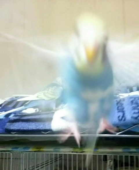Point Blur_20190709_175134