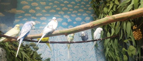 Polish_20230717_164047717