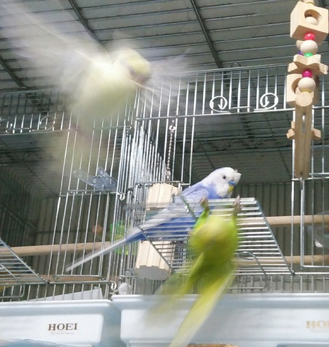 Point Blur_20200924_195728