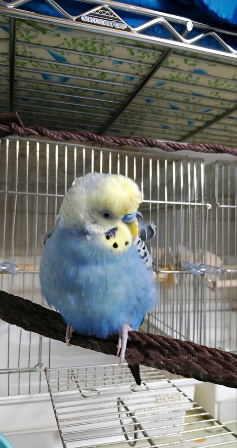 Polish_20230329_120719964