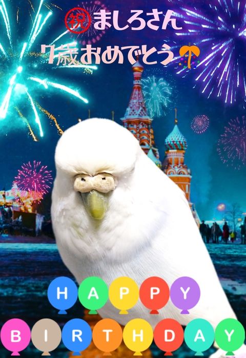 Polish_20250620_231402854