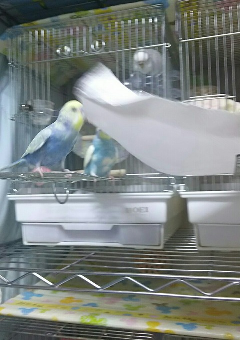 Point Blur_20190930_143137