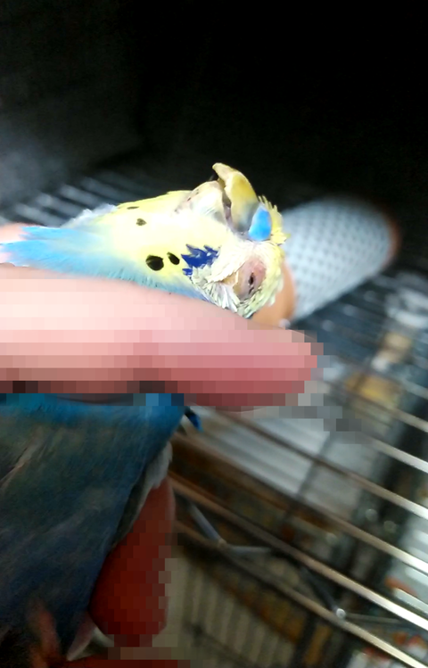 Point Blur_20231017_024027