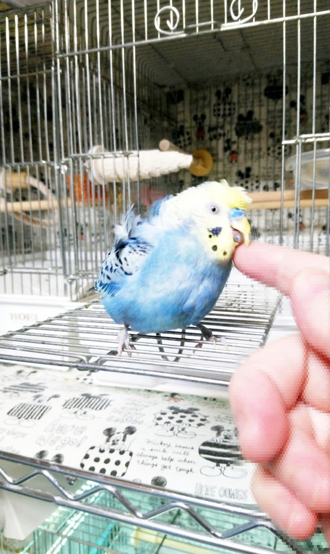 Point Blur_20230514_130538