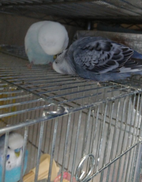 Polish_20230701_074356570