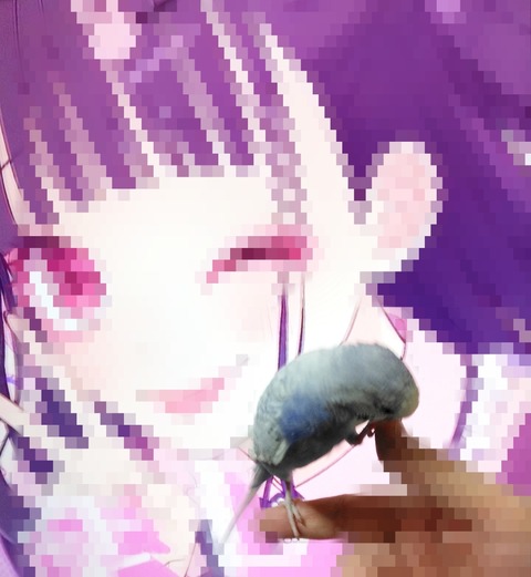 Point Blur_20240306_234115