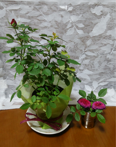 Polish_20221123_132804629