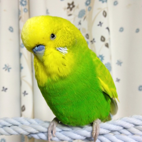 Polish_20250420_125426930
