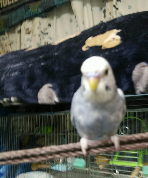 Point Blur_20200726_164045