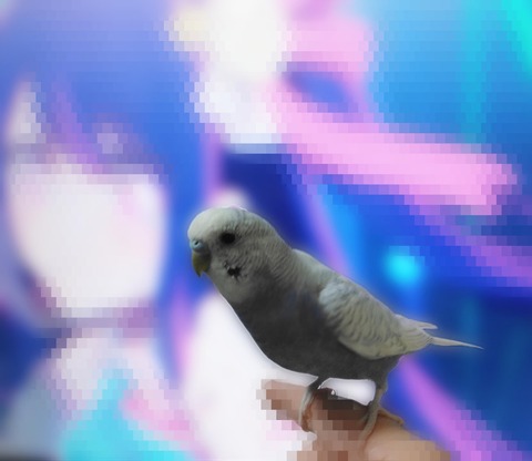 Point Blur_20240306_234146