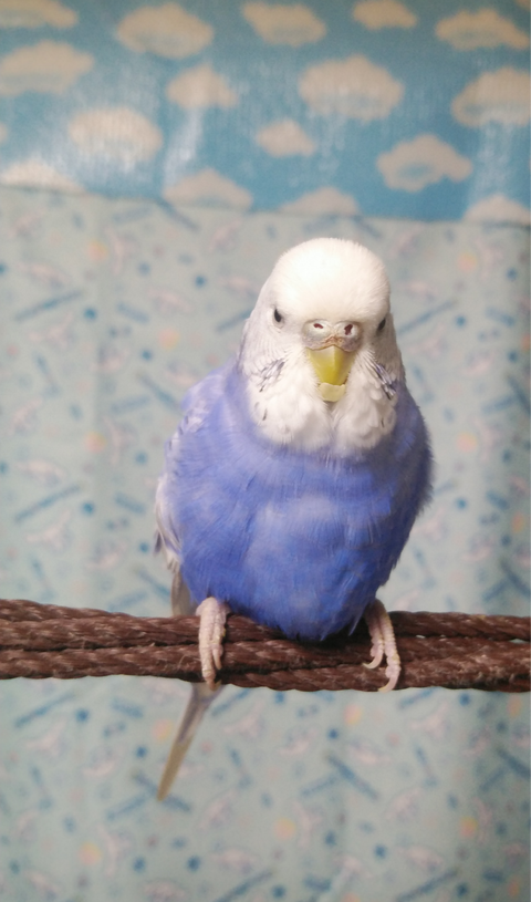 Polish_20221206_233759194
