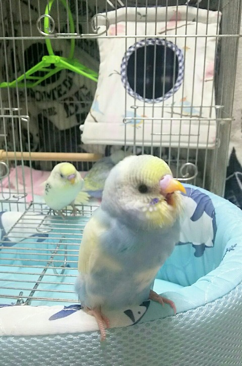 Point Blur_20190627_184423