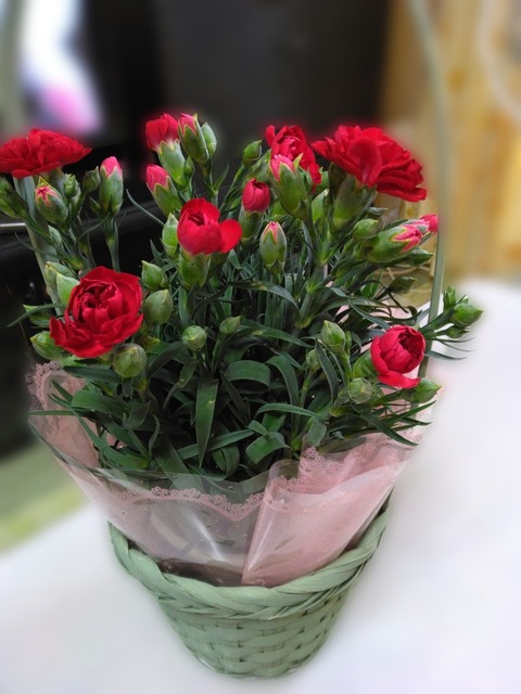 Polish_20250511_215859664