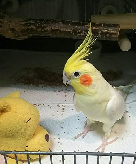 Point Blur_20190730_134909