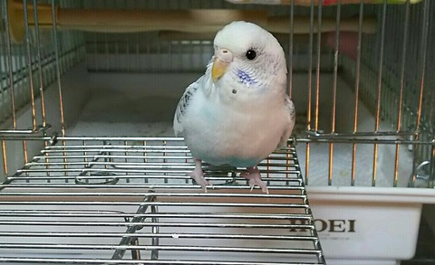 DSC_8142~01~01