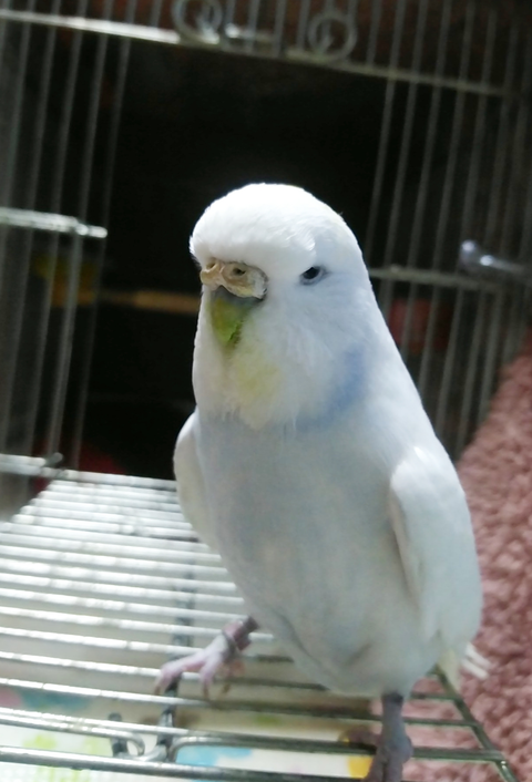 Polish_20220731_121210393
