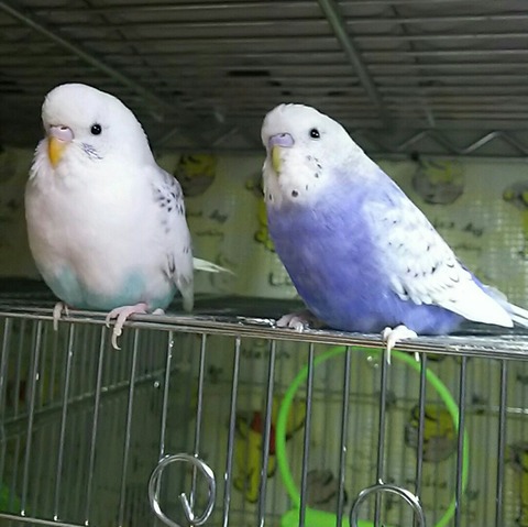 DSC_8073~01