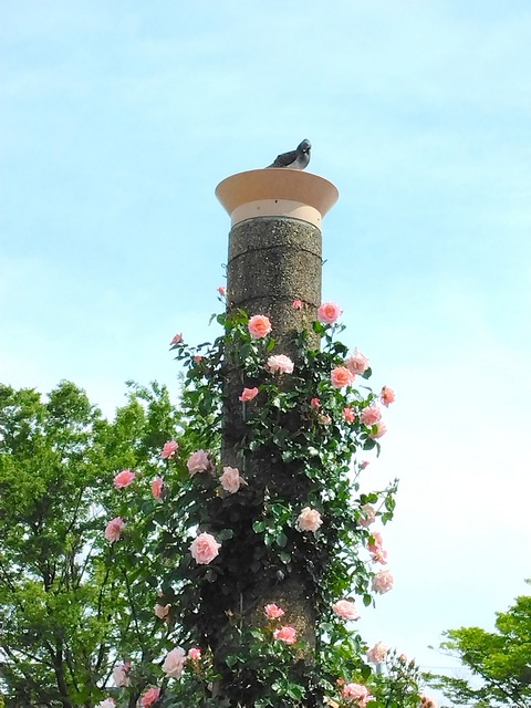 Polish_20250516_012858871
