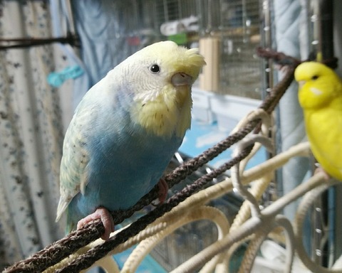 Point Blur_20201030_121307