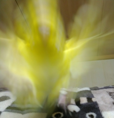 Point Blur_20200830_184740