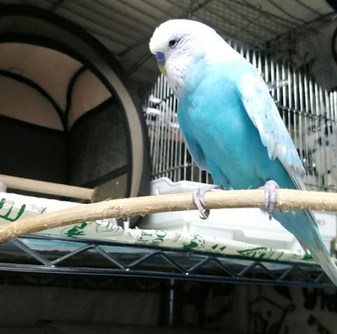 Polish_20210620_084625236
