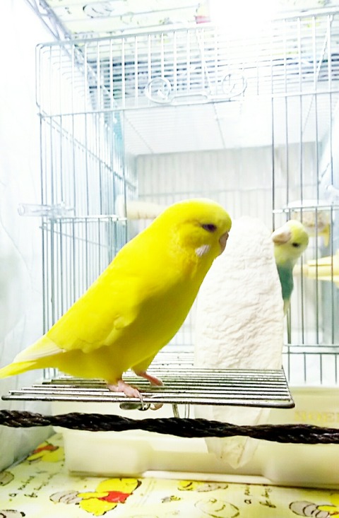 Polish_20210918_142555229