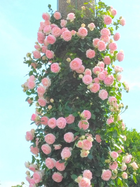 Polish_20250516_012944485