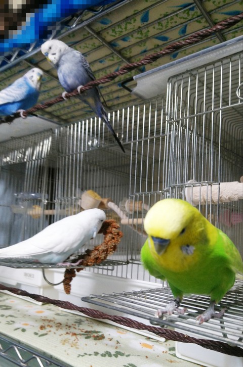 Point Blur_20230428_204741