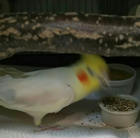 Point Blur_20190829_122020