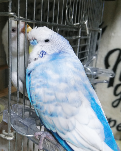 Polish_20220817_025351436