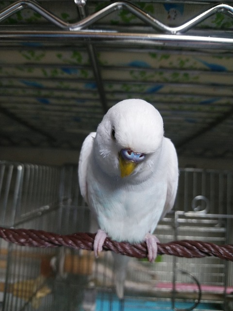 Polish_20220528_181351754