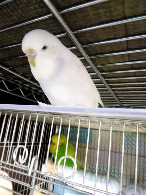 Polish_20250818_215624748