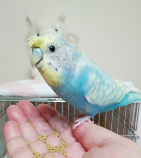 Point Blur_20220920_155440