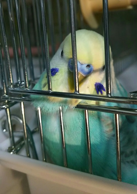 DSC_7329~03