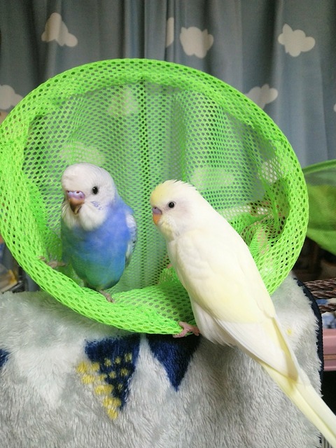 DSC_4687~2