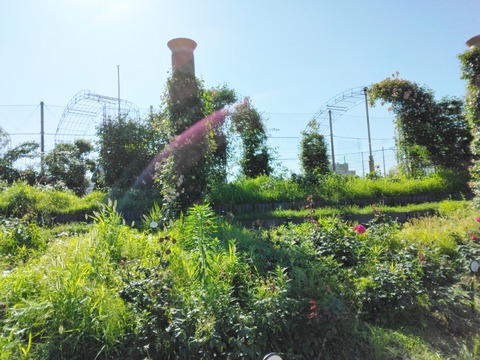 Polish_20240530_015024455