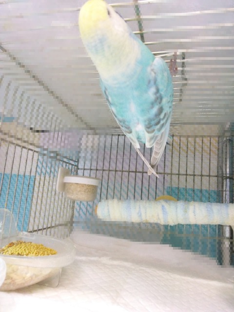 Point Blur_20250807_002155