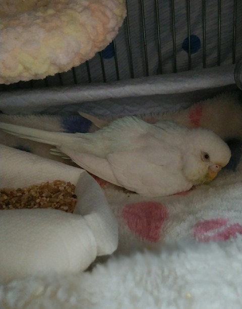 Point Blur_20200221_143730