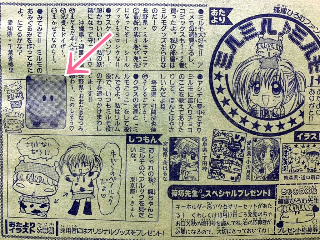 稲きょんさん完成品 濃う