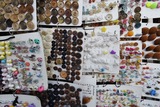 DSC_0019_800x533