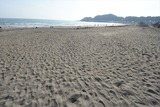 DSC_0044_800x533