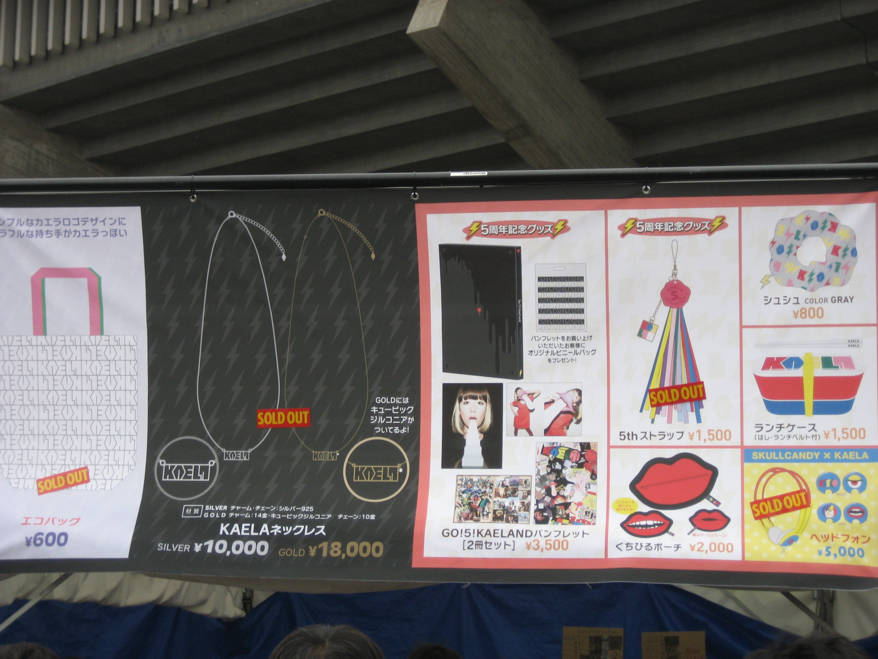 木村カエラ LIVE TOUR 2010”5years”!＠日本武道館（3/28）【前編