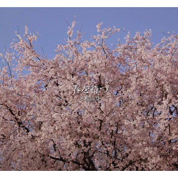 音楽で救われた人達が桜の木の下で君の帰りを待ってる 木根尚登 春を待つ あんぱ的日々放談 O 音楽で救われた人達が桜の木の下で君の帰りを待ってる 木根尚登 春を待つ あんぱ的日々放談 O