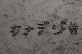 DSC_0053_800x533