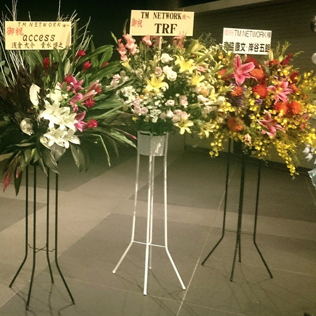 |あんぱ的日々放談|∇￣●）ο