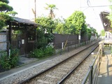 IMG_1455s