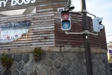 DSC_0067_800x533