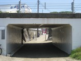 IMG_1332s