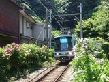 DSC_3096s