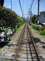 IMG_1378s